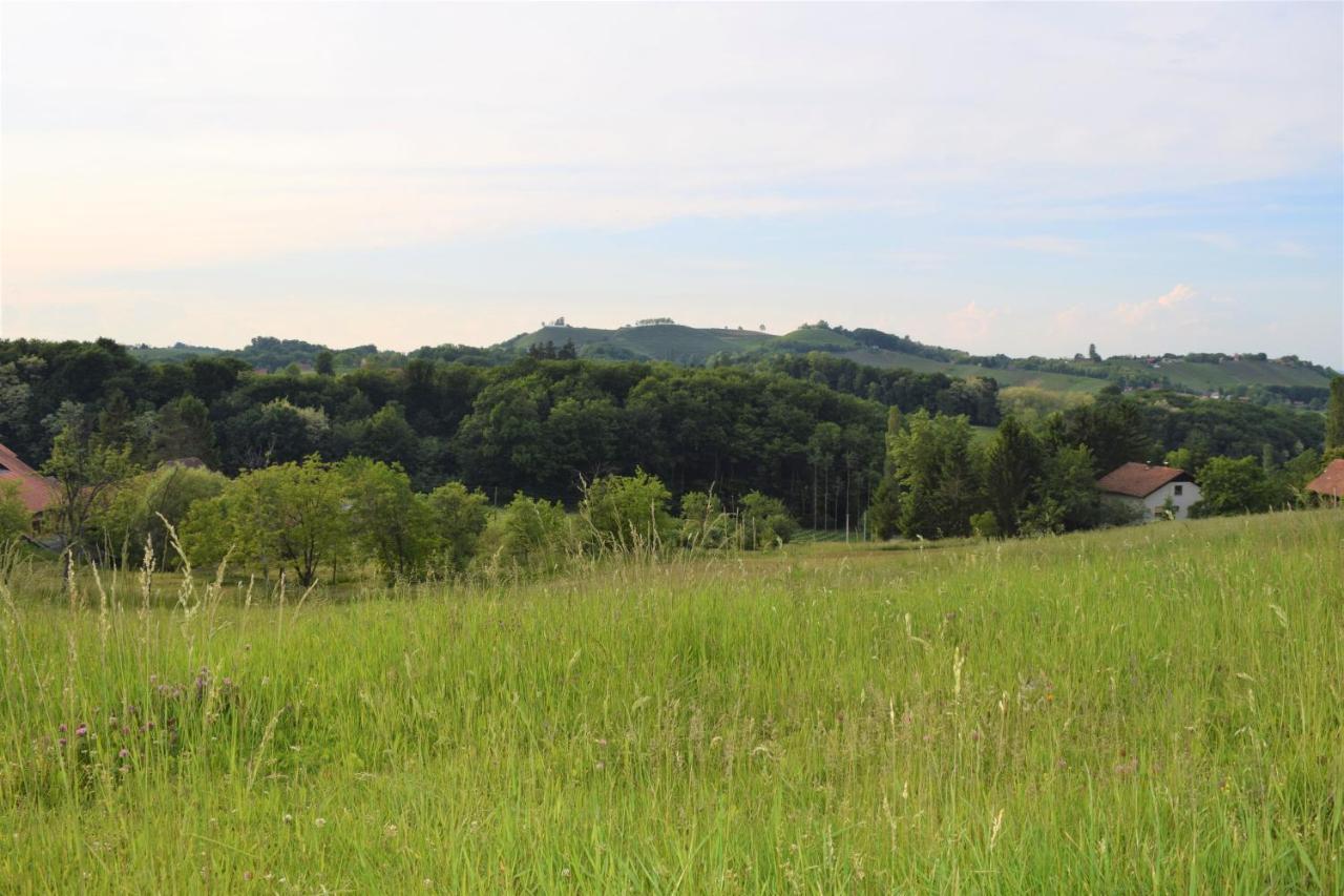 Apartmani Katruza Sveti Martin Na Muri Exteriér fotografie