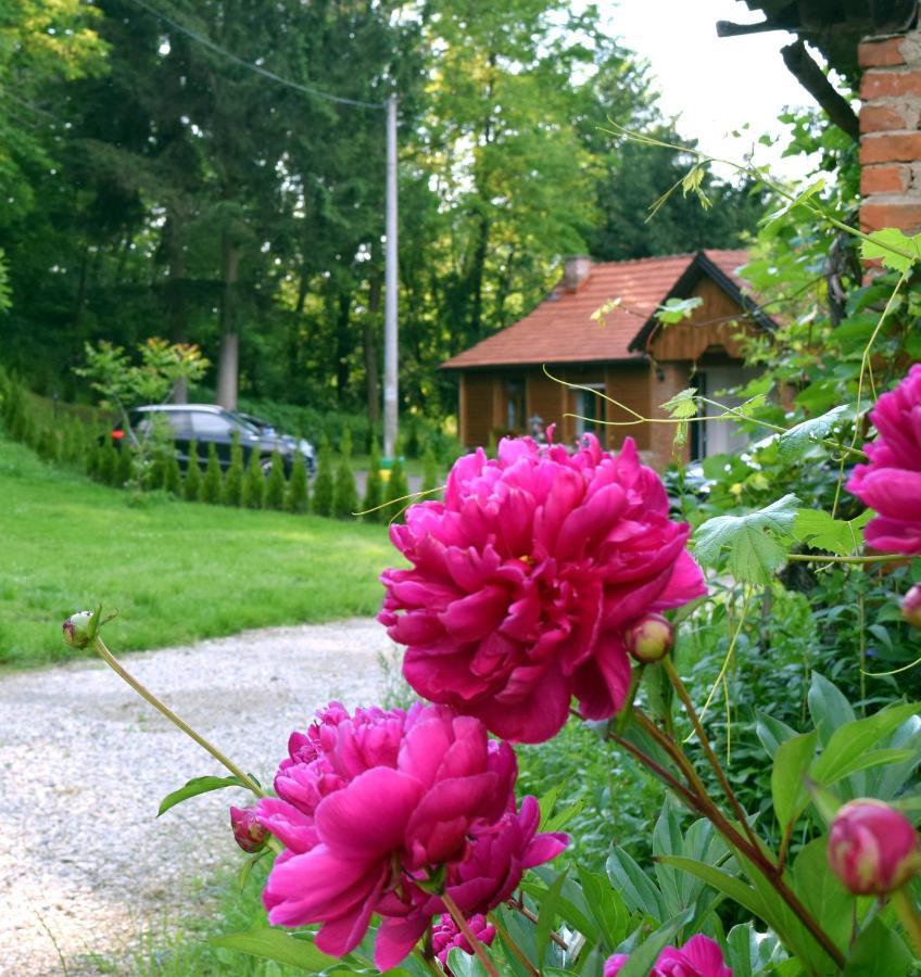 Apartmani Katruza Sveti Martin Na Muri Exteriér fotografie